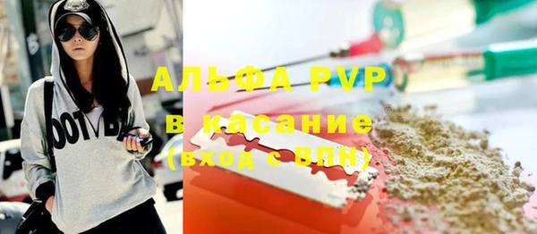 гидра Шали