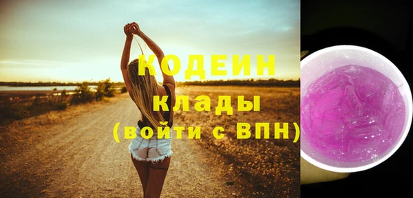 дживик Елизово