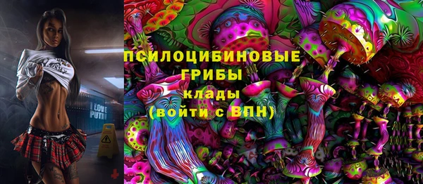 дживик Елизово